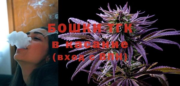 сатива Балахна