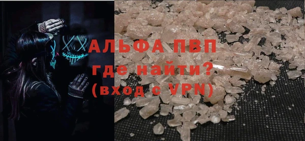 сатива Балахна