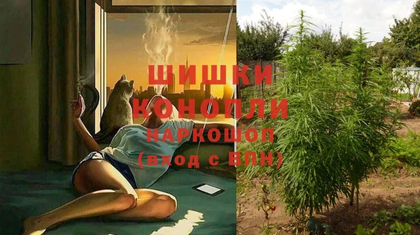 стафф Балабаново